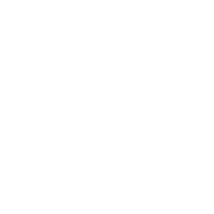Expert Technicians
